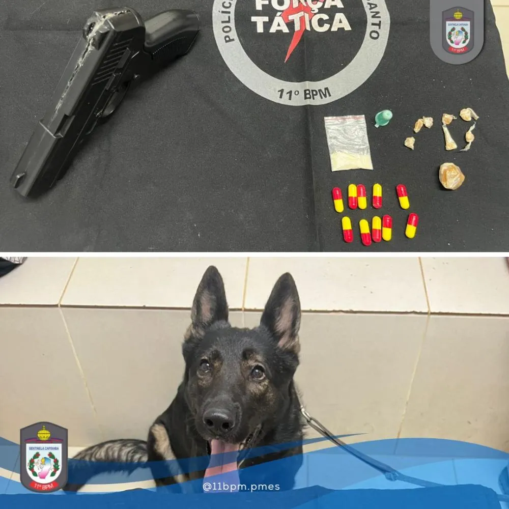 Força Tática e equipe K9 apreendem drogas e simulacro de arma em Barra de São Francisco