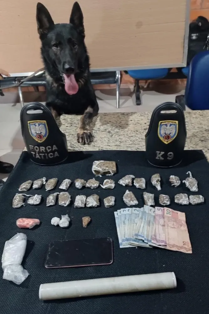 Equipe K9 do 11° Batalhão Apreende Crack em Barra de São Francisco-ES
