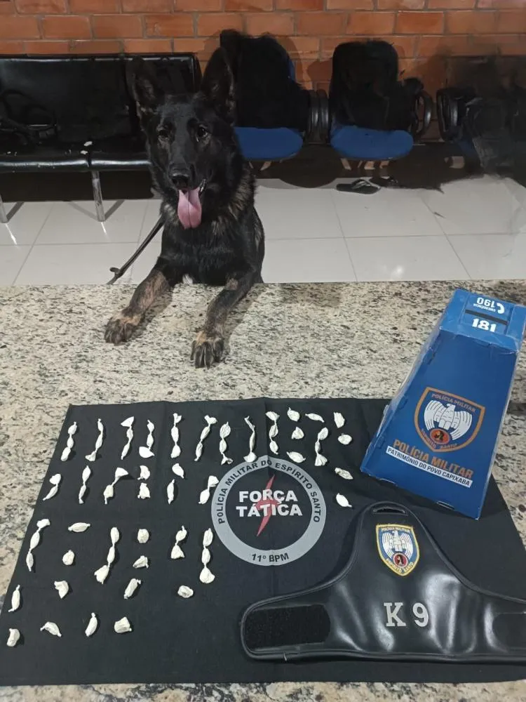 Ação Conjunta da Força Tática e K9 Resulta na Apreensão de Cocaína em Barra de São Francisco-ES