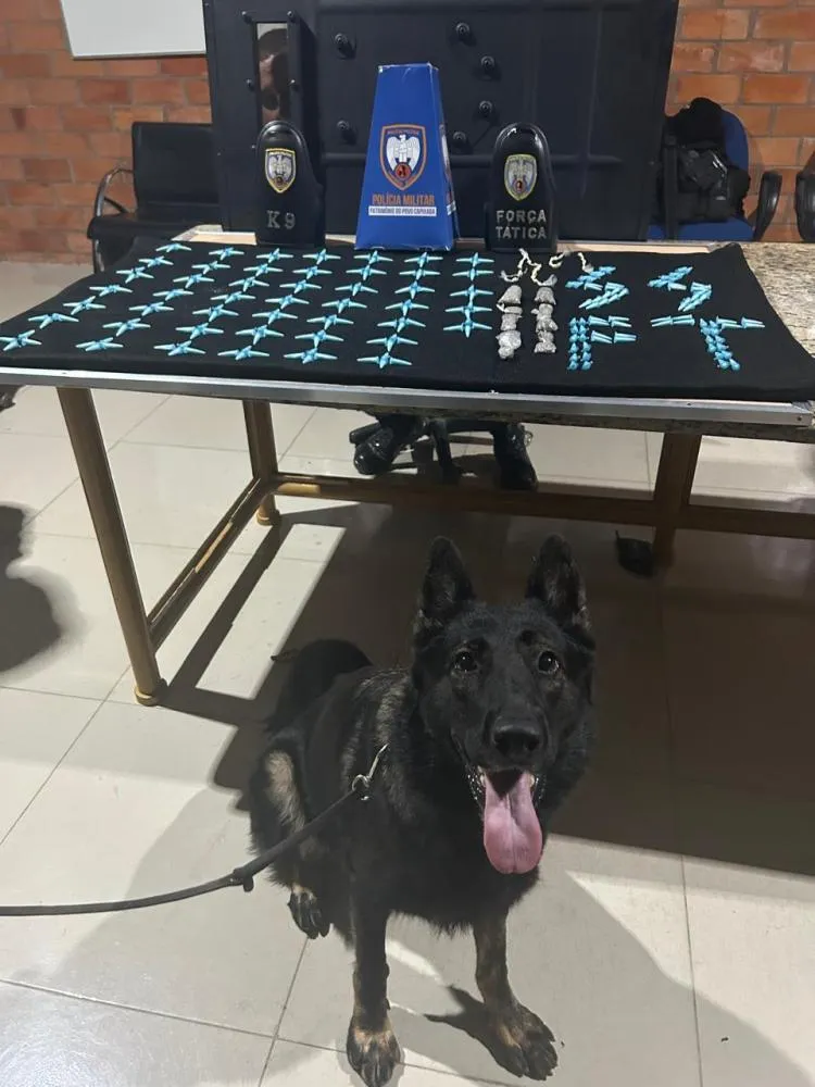 FORÇA TÁTICA E K9 APREENDEM GRANDE QUANTIDADE DE DROGAS E PRENDEM SUSPEITO EM BARRA DE SÃO FRANCISCO-ES