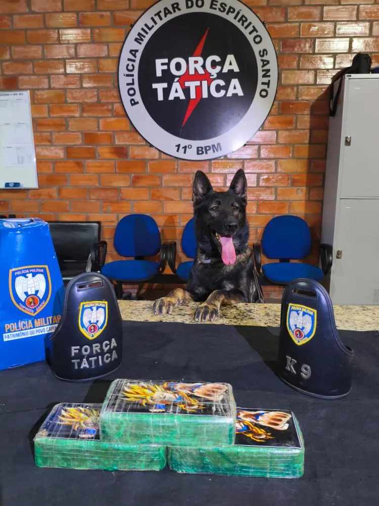FORÇA TÁTICA DO 11º BPM E K9 ATHENA LOCALIZAM 3 KG DE CRACK ENTERRADOS EM BARRA DE SÃO FRANCISCO