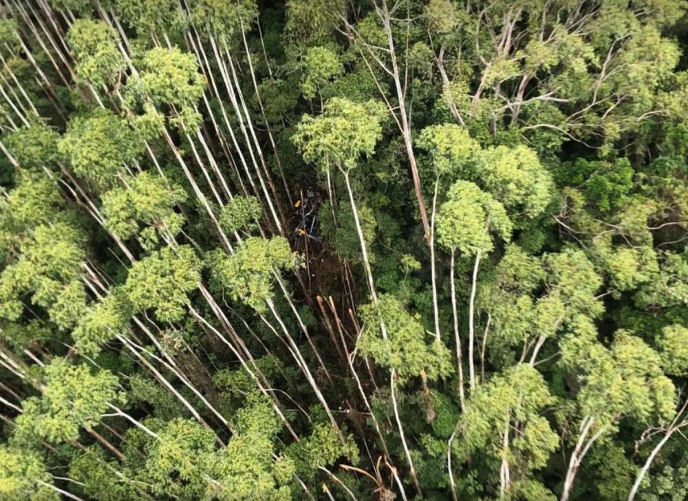 Helicóptero que desapareceu com 4 pessoas em SP é encontrado em Paraibuna após 12 dias de buscas
