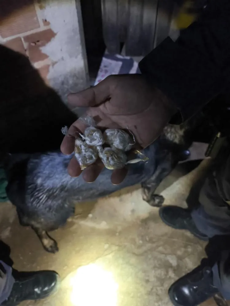 FORÇA TÁTICA DO 11º BPM APREENDE INDIVÍDUO POR TRÁFICO NO BAIRRO CRUZEIRO